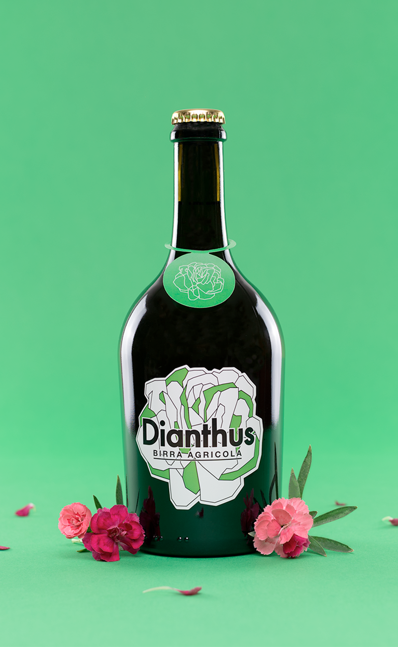 AgribirrificioBirr’è_Dianthus singola fiori verticale